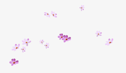 紫色粉色小花装饰