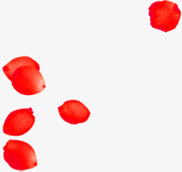 红色漂浮玫瑰花瓣装饰电商