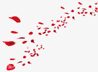 红色花瓣漂浮装饰图片