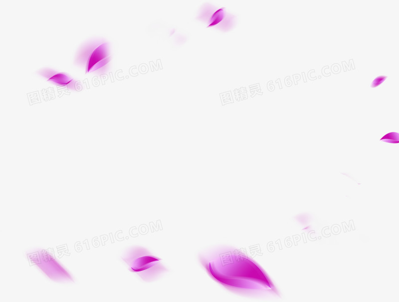 紫色花瓣飘零