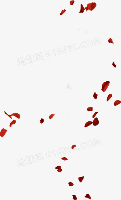 飘散花瓣素材
