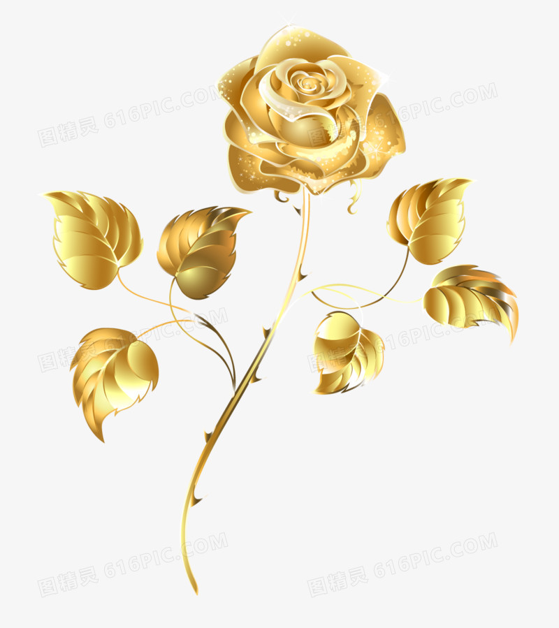 金色玫瑰元素
