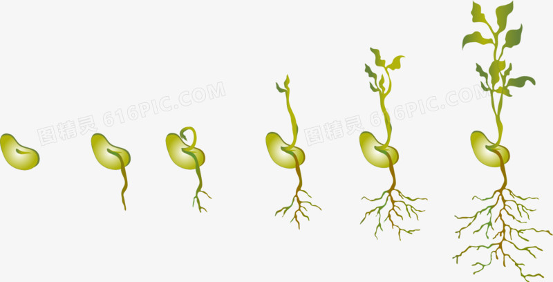 矢量植物装饰图案免扣素材