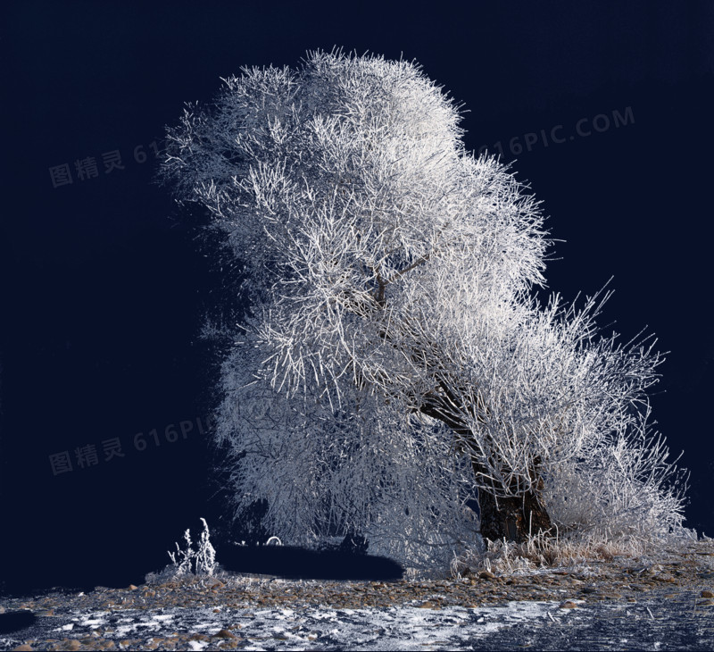 冬季雪景美丽景色