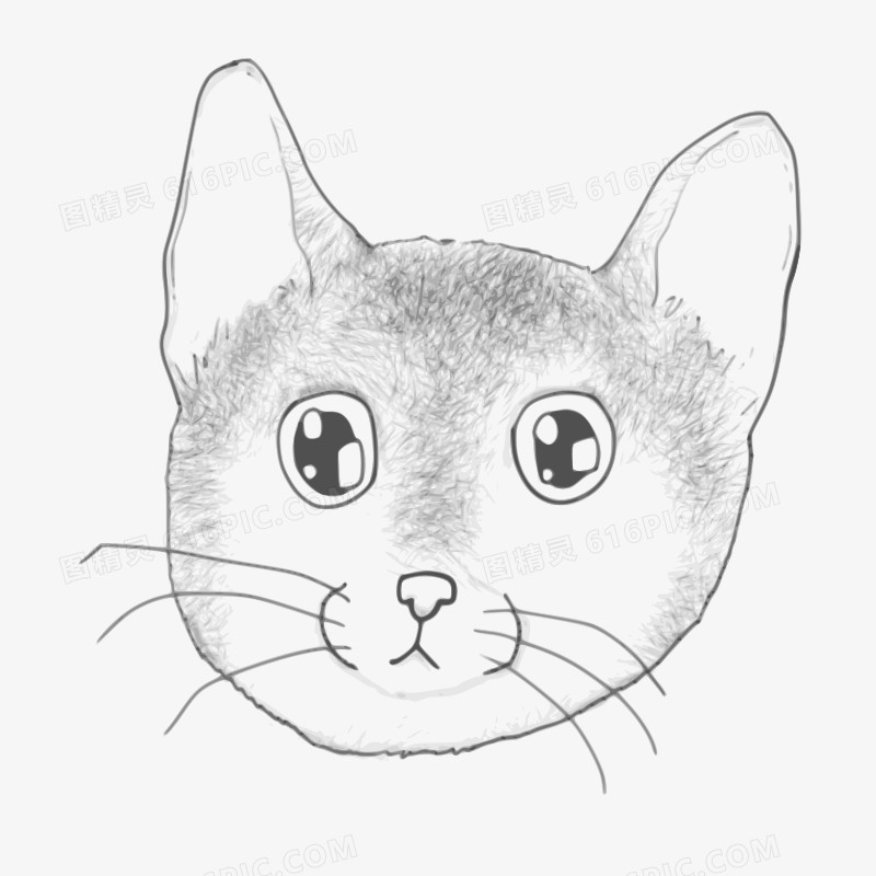 手绘的卡通小猫头