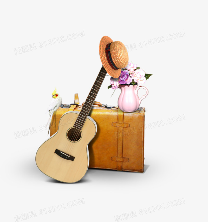 唯美箱子吉他花瓶鸟