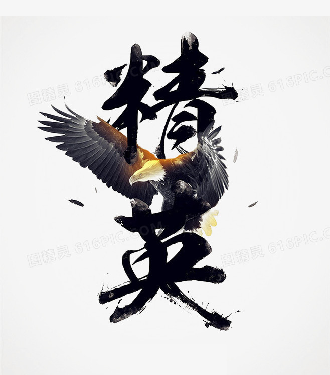 精英