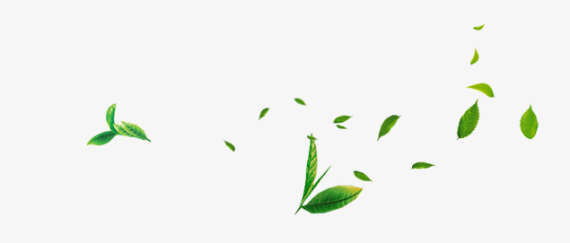 茶艺素材
