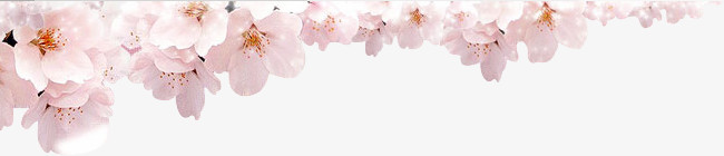 花朵