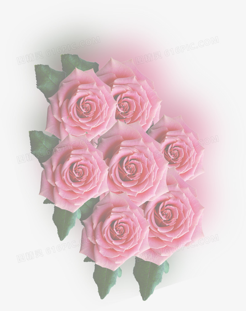 粉色玫瑰花背景元素