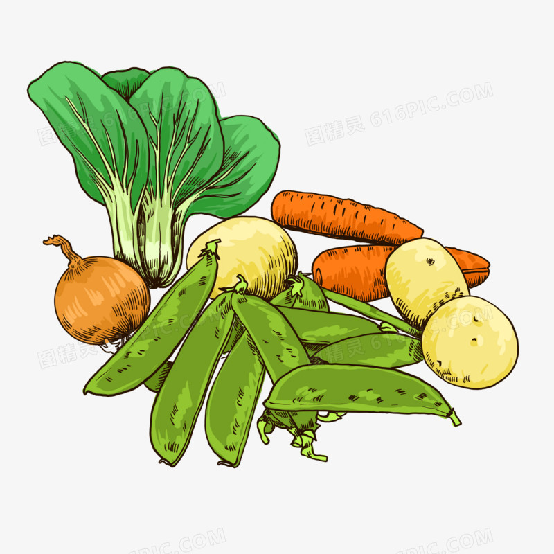 手绘蔬菜插画元素