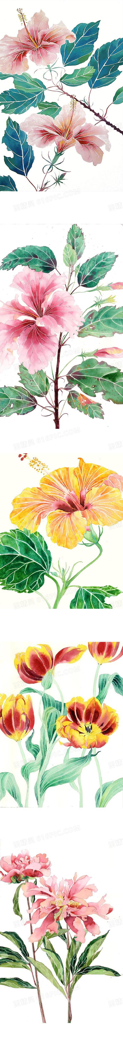 手绘清新小花插画