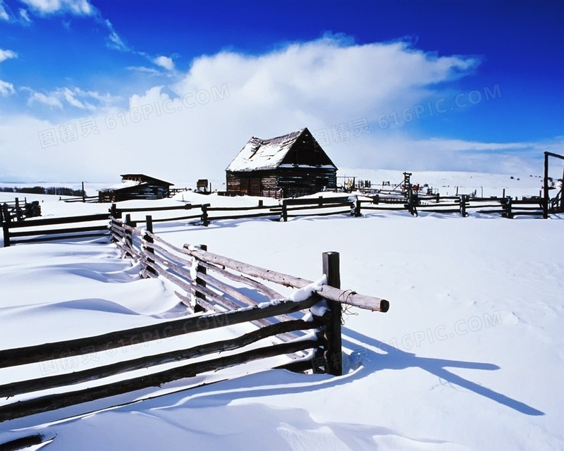 冬季自然美景雪地