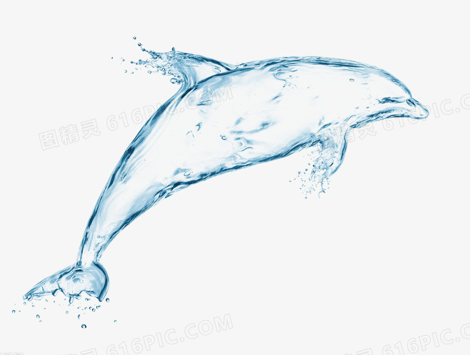 蓝色晶莹水珠海豚