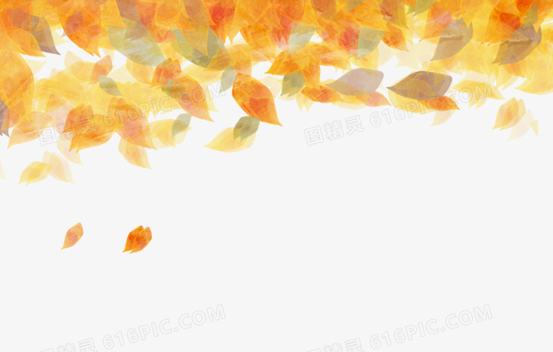 飘浮树叶