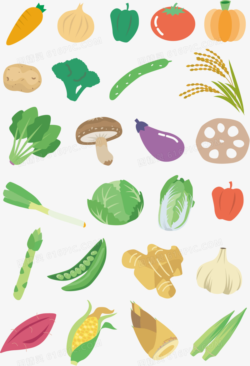 各种可样的卡通蔬菜