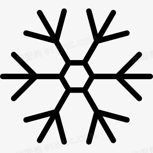 Snowflake 图标