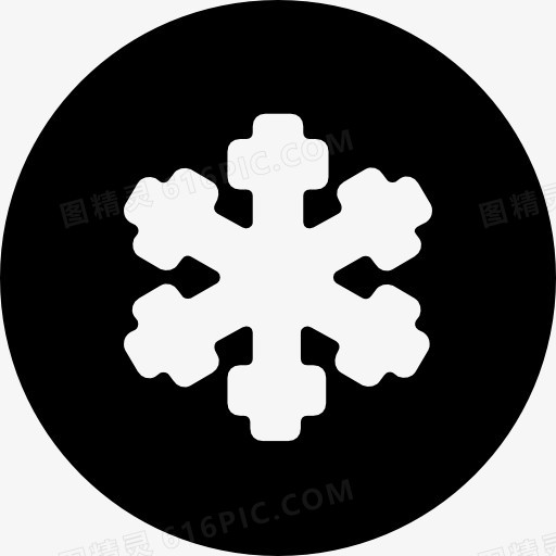 Snowflake 图标