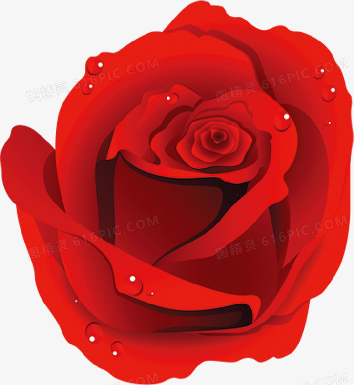 手绘水珠红色娇艳玫瑰