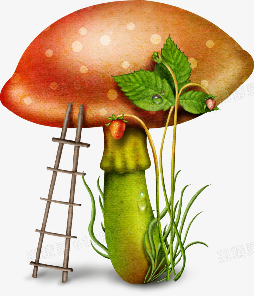 阶梯与蘑菇