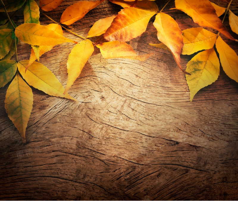 木板上的落叶背景