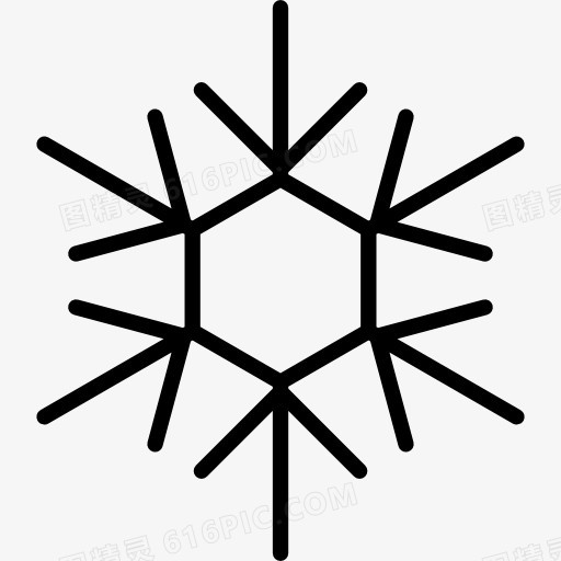 Snowflake 图标