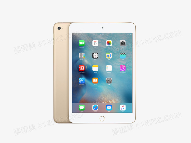 土豪金ipadmini4正反面