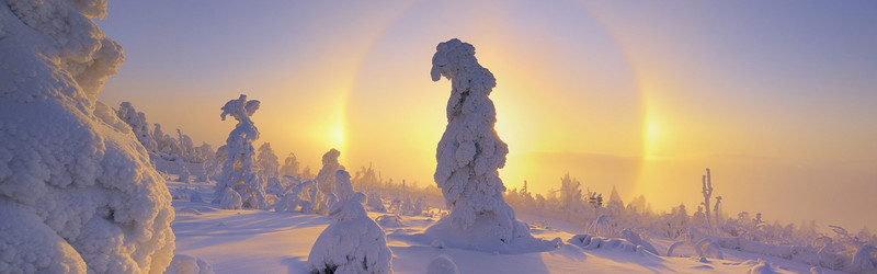 雪景背景图