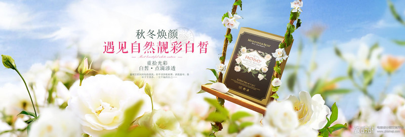 唯美白花banner