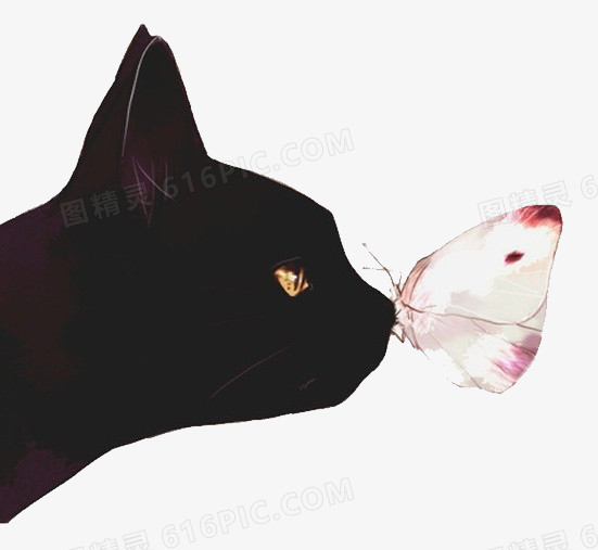 手绘猫咪蝴蝶