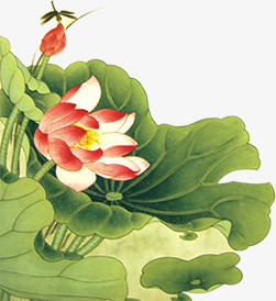 绿色水彩荷叶荷花