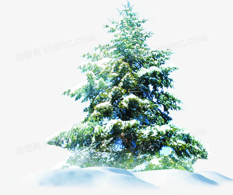 冬季圣诞树邀请卡背景