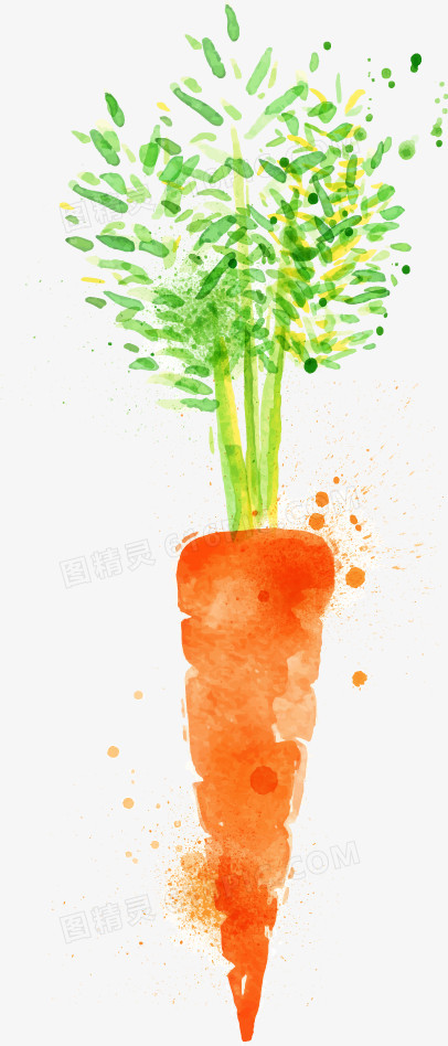 卡通水彩蔬菜萝卜