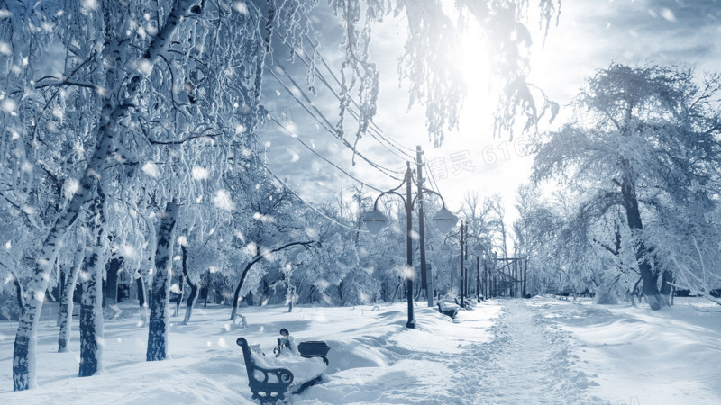 创意摄影合成冬天的森林树木海报