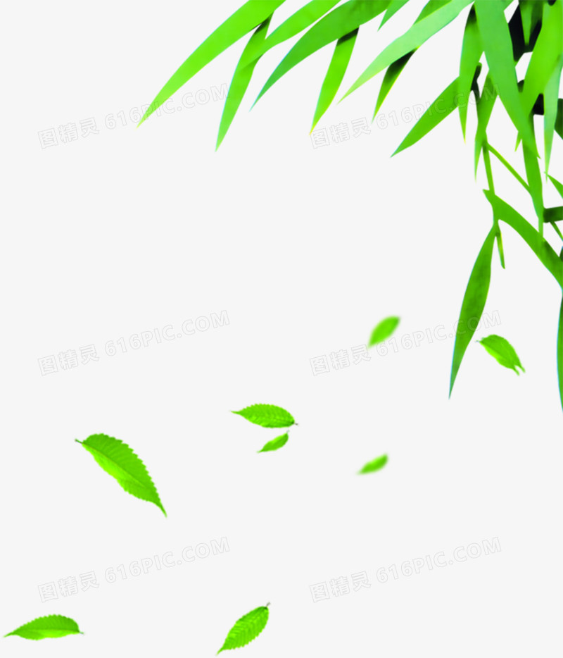 绿色清新竹叶飘散