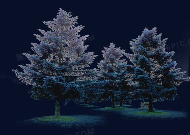 蓝色高清冬季大树雪地