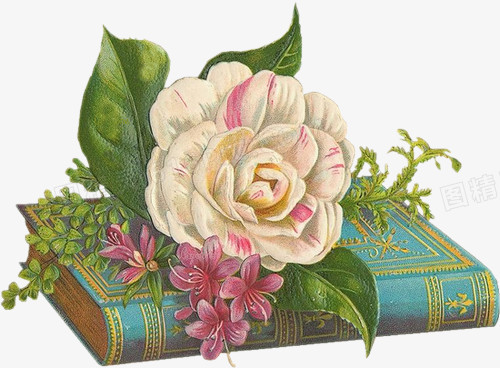 手绘花饰矢量图素材元素 花朵和书