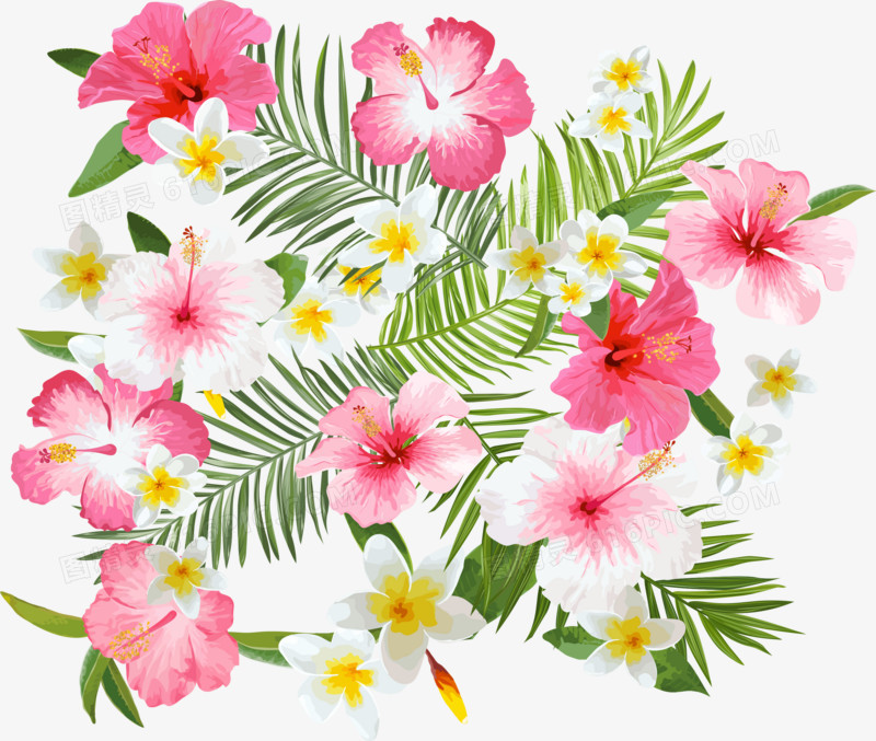 粉色唯美温馨花朵植物