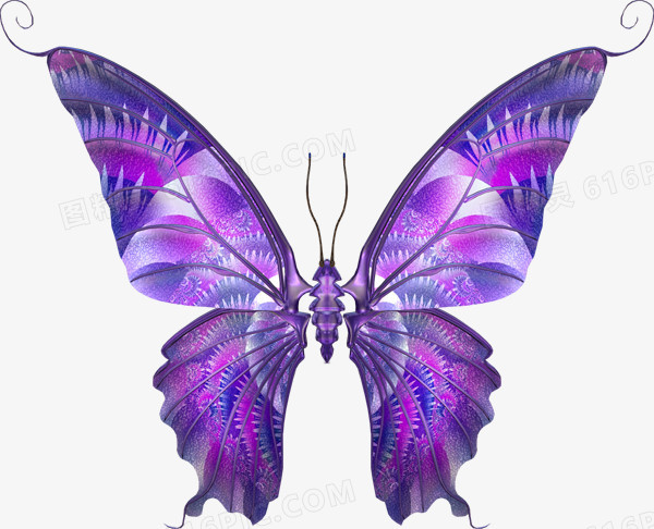 蓝色蝴蝶免抠PNG透明图片素材