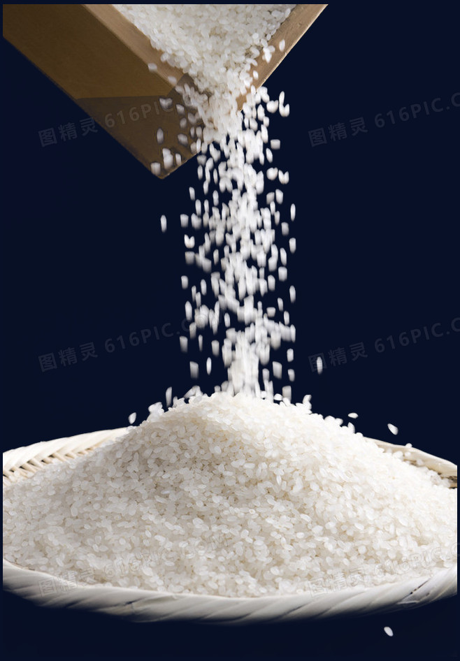 米粒米粒xl上司图片