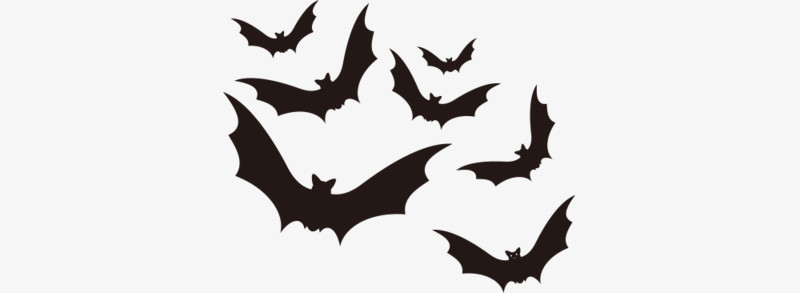 矢量万圣节可怕黑蝙蝠