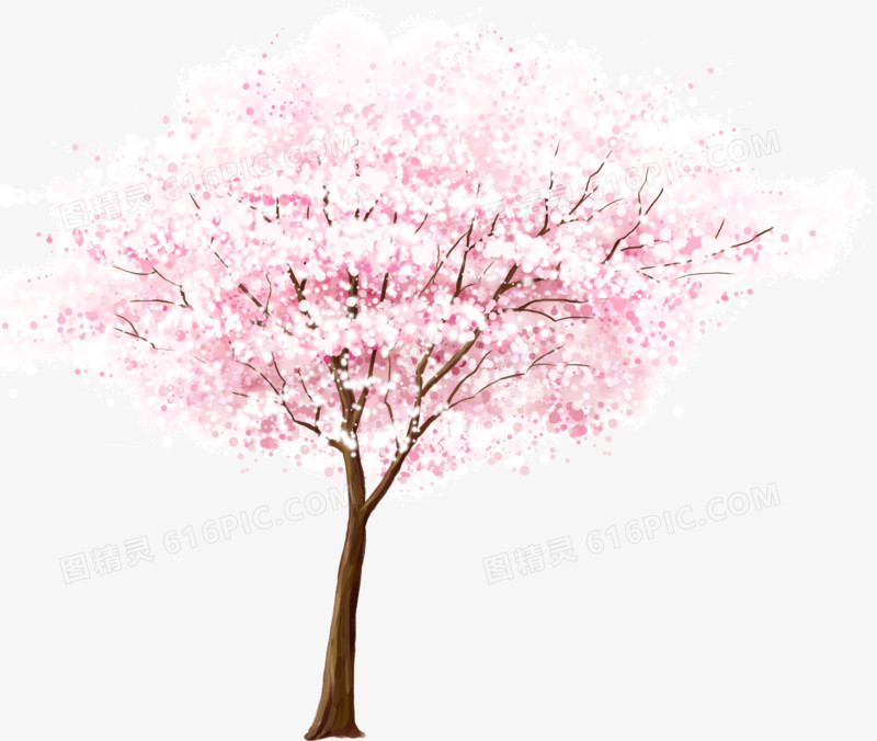美丽的樱花树
