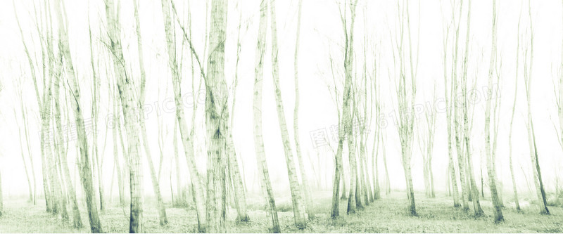 冬季的小树林海报背景