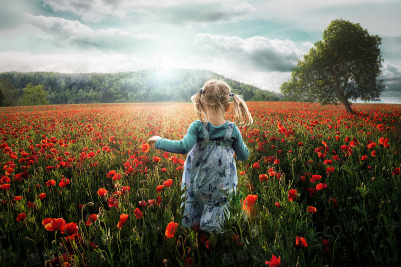 红色花丛中奔跑的女孩海报背景