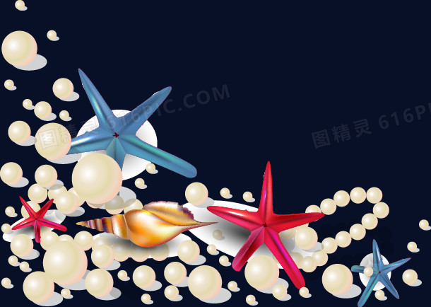 夏日海滩珍珠贝壳海星