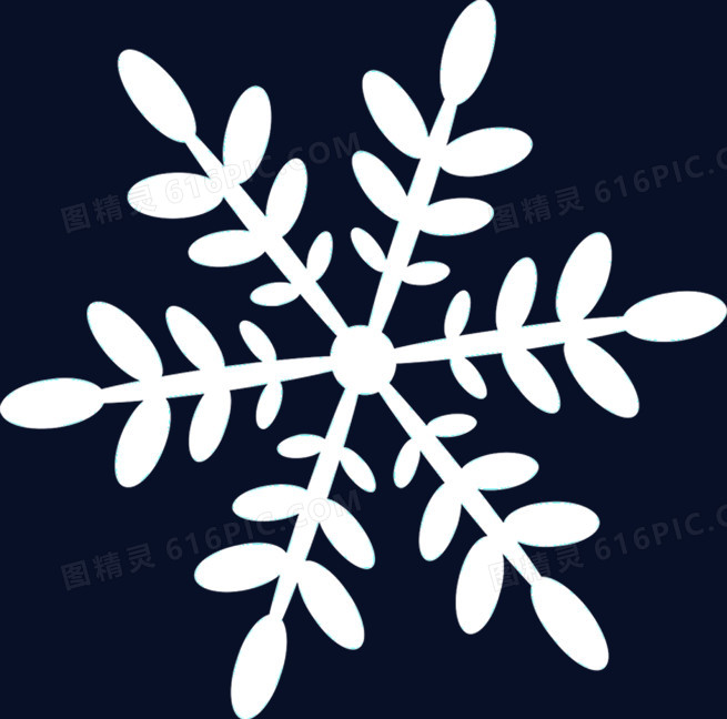 冬季白色雪花装饰花纹