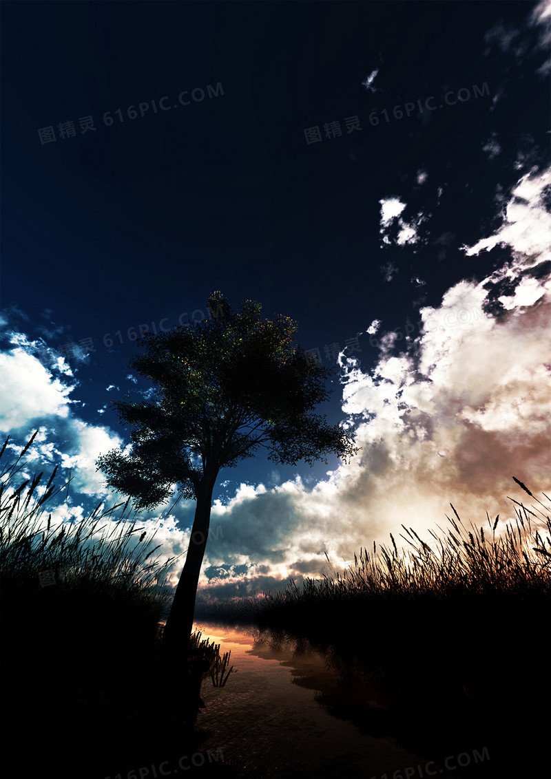 黑色天空效果树木摄影风格