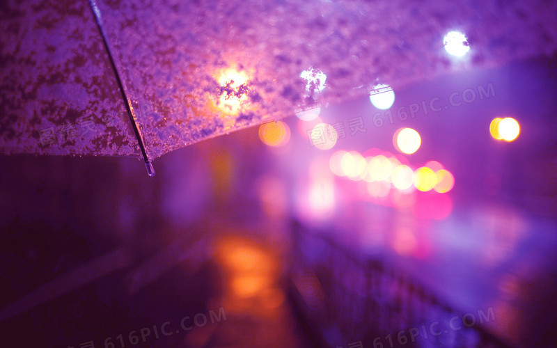 梦幻紫色雨伞圆点装饰