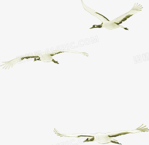 在海边飞翔的白鹭
