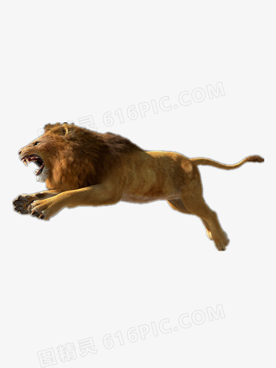 关键词:狮子奔跑雄狮图精灵为您提供狮子免费下载,本设计作品为狮子